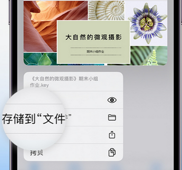 丰满apple维修中心分享iPhone文件应用中存储和找到下载文件