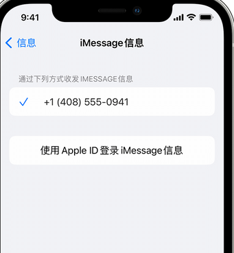 丰满apple维修iPhone上无法正常发送iMessage信息 