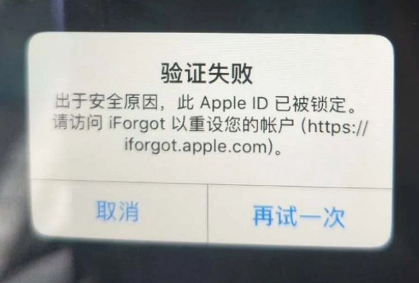 丰满iPhone维修分享iPhone上正常登录或使用AppleID怎么办 