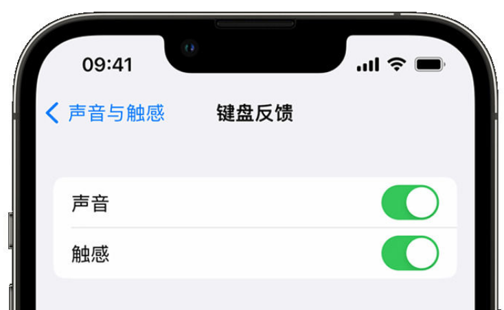 丰满苹果手机维修分享iPhone 14触感键盘使用方法 