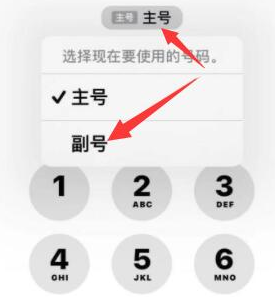 丰满苹果14维修店分享iPhone 14 Pro Max使用副卡打电话的方法 