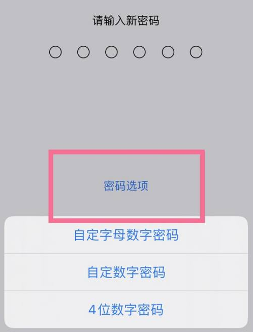 丰满苹果14维修分享iPhone 14plus设置密码的方法 