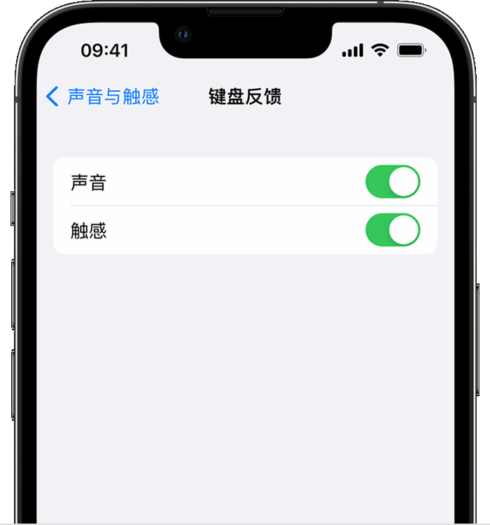 丰满苹果14维修分享iPhone 14 系列机型如何开启键盘声音或触感反馈 