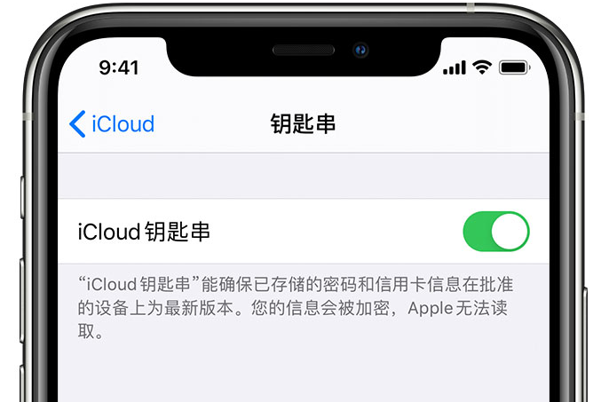 丰满苹果手机维修分享在 iPhone 上开启 iCloud 钥匙串之后会储存哪些信息 