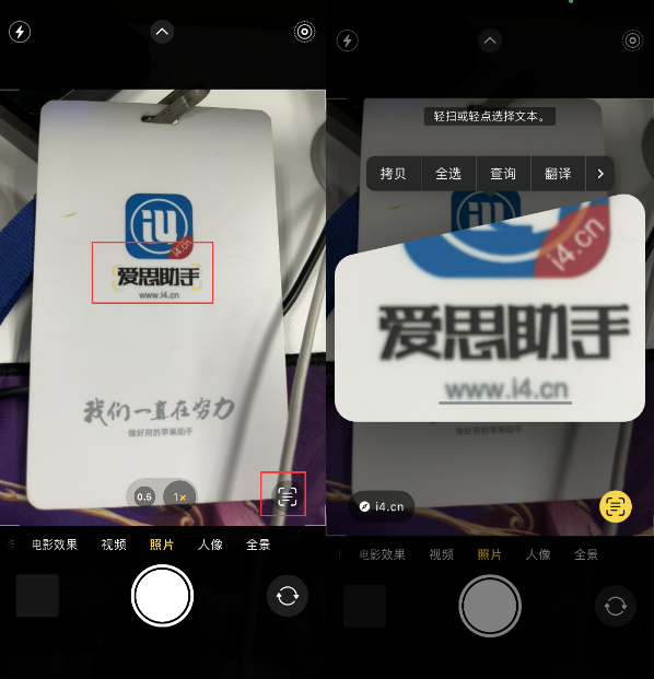 丰满苹果手机维修分享升级iOS 16后如何通过相机翻译文本 