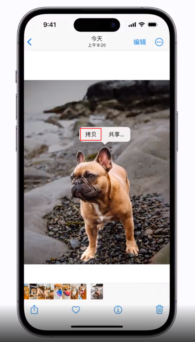 丰满苹果手机维修分享 iOS 16 自带一键抠图功能 
