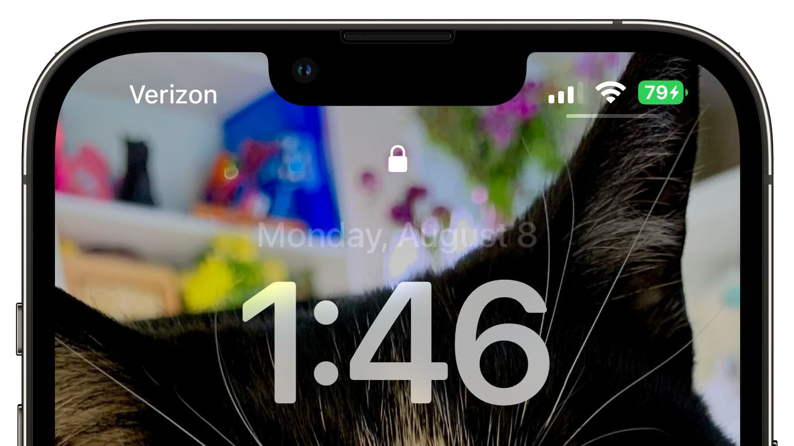 丰满苹果手机维修分享iOS 16 beta 5 支持状态栏显示电池百分比，如何开启？支持哪些机型 