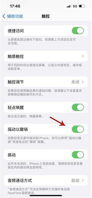 丰满苹果手机维修分享iPhone手机如何设置摇一摇删除文字 