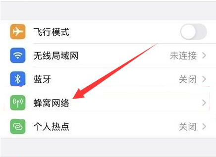 丰满苹果手机维修分享iPhone手机4G网络怎么设置成5G网络 