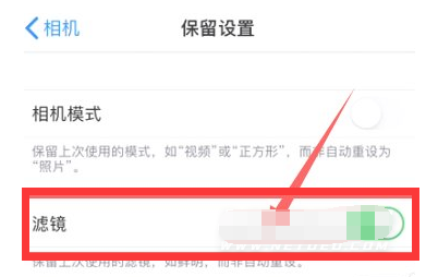 丰满苹果13维修分享iPhone13拍照有绿点是怎么回事 