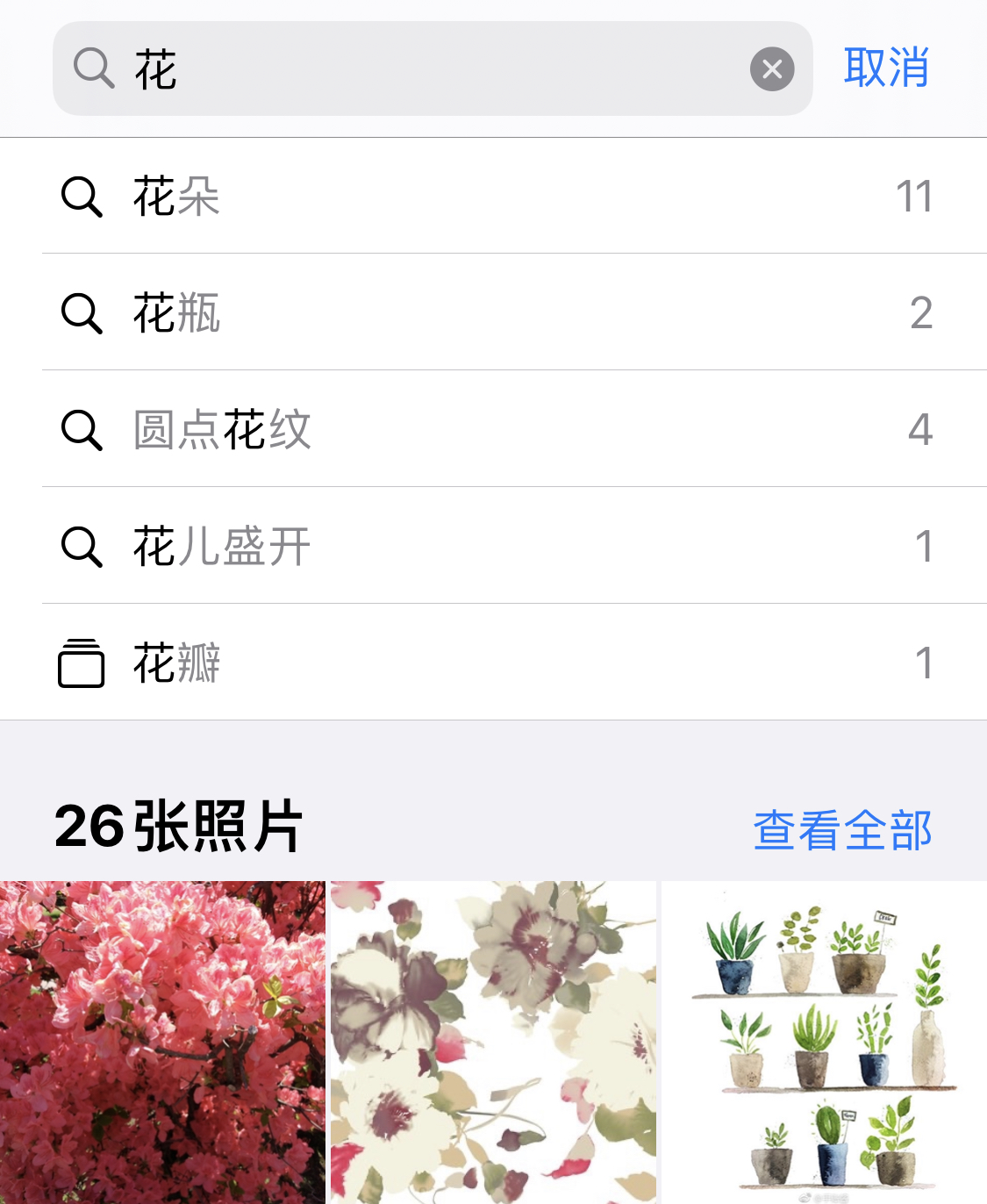 丰满苹果手机维修分享iPhone 小技巧 
