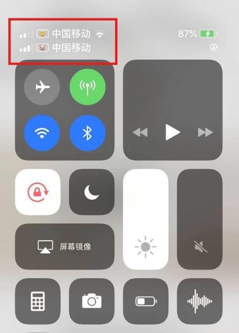 丰满苹果手机维修分享为 iPhone 12 双卡设置标签 